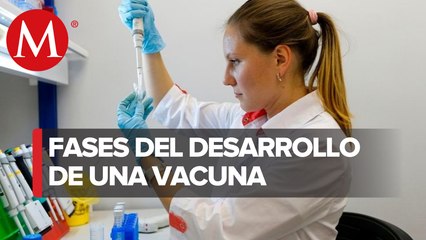 ¿Cuáles son las fases de una vacuna?
