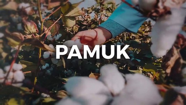 Saadet Partisi'nden Albayrak'ın açıklamasına tepki: Maaşımızı dolarla almıyoruz ama dolar bütün maaşımızı alıyor