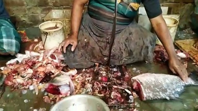 Amazing Katla Fish Cutting Skills in Fish Market 2020 || RST Cutting skills