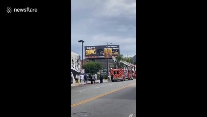 LA fire crew responds to 'Jackass' star Steve-O duct-taped to billboard as promotional stunt