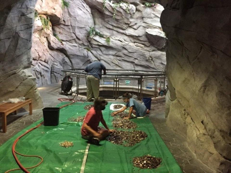 100 Gallons of Coins Recovered from Waterfall at North Carolina Aquarium Closed Amid Pandemic