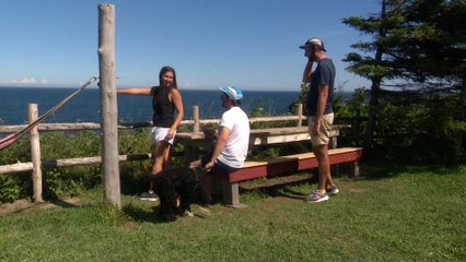 Plages négligées : des touristes ont remis en question leur visite