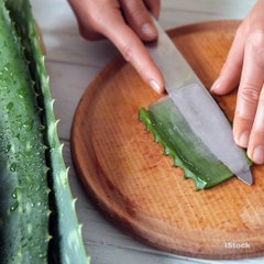 ¿Los huevos se deben meter al refrigerador o no?