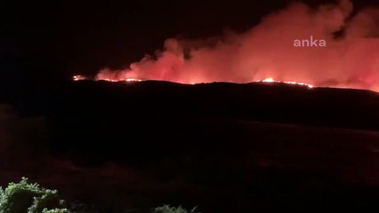 Çeşme’de orman yangını