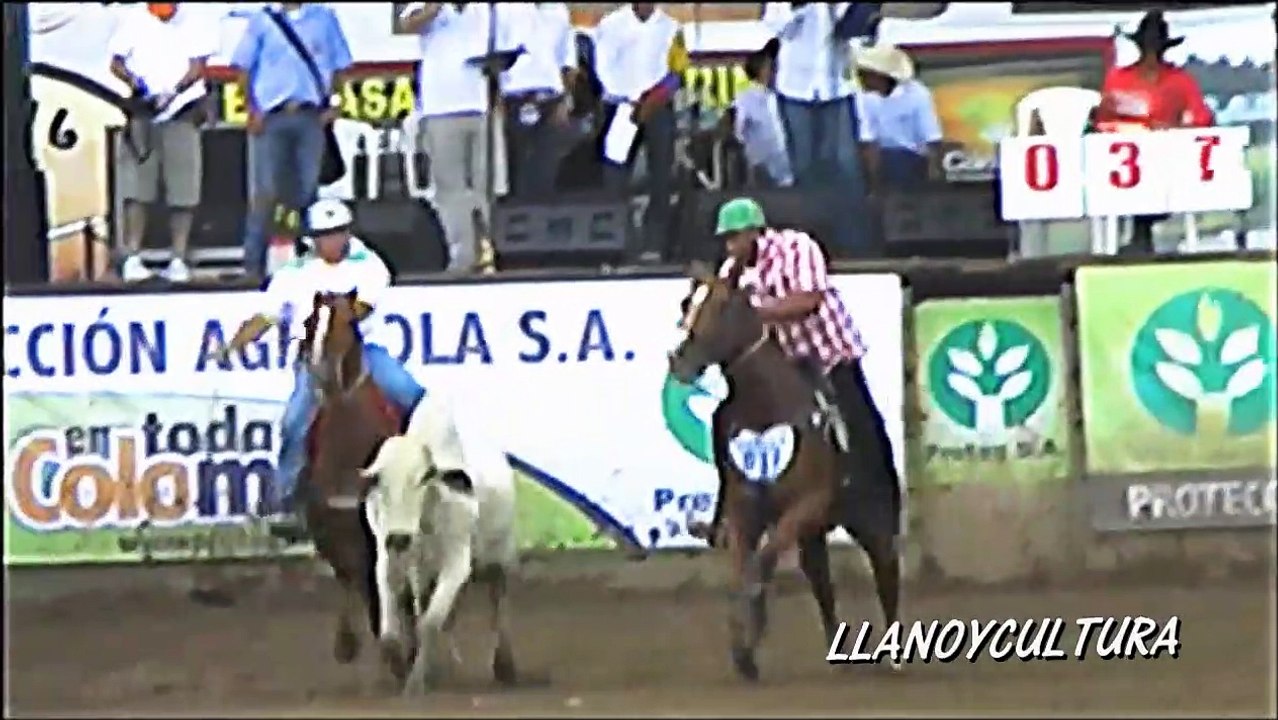 VI COPA AMERICA DE COLEO