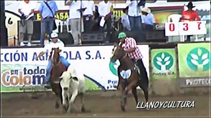 VI COPA AMERICA DE COLEO