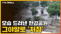 [자막뉴스] 12일 만에 모습 드러낸 한강공원의 처참한 모습 / YTN
