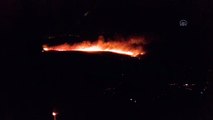 Tarım ve Orman Bakanı Pakdemirli, Çeşme'deki yangın bölgesini havadan inceledi - İZMİR