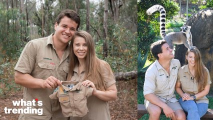 Bindi Irwin is EXPECTING