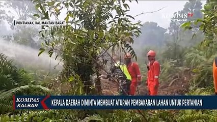 Gubernur Minta Kepala Daerah Rancang Aturan Pembakaran Lahan untuk Pertanian