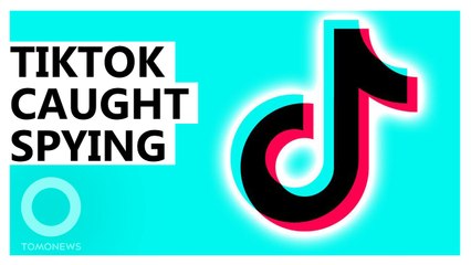 TikTok's Secret Data Harvesting Exposed: Report