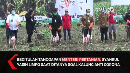 Soal Kalung Anti Corona, Menteri Pertanian Takut Dibully Netizen