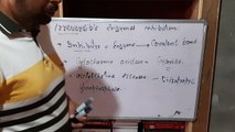 Enzymes Lecture 03 (Missione)