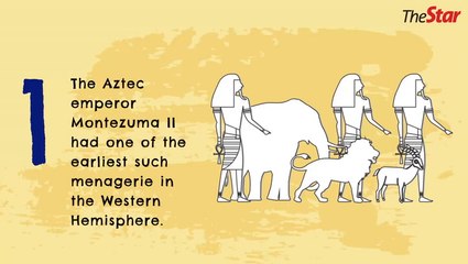 Zoos
