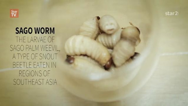 Star2.com Exclusive: Eating Live Sago Worms #SquealMeal