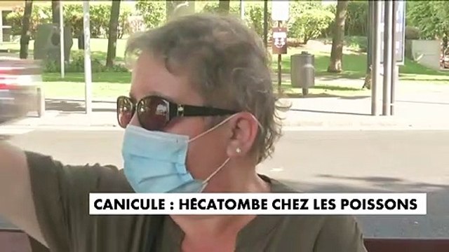Enghien-les-Bains : Plus de 5 tonnes de poissons retrouvés mort à la surface du lac - La canicule est sans doute la cause de cette hécatombe