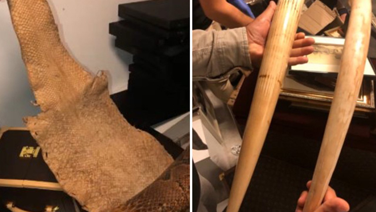 Ünlü isimleri dolandıran "Yeni Sülün Osman" çetesine operasyon!