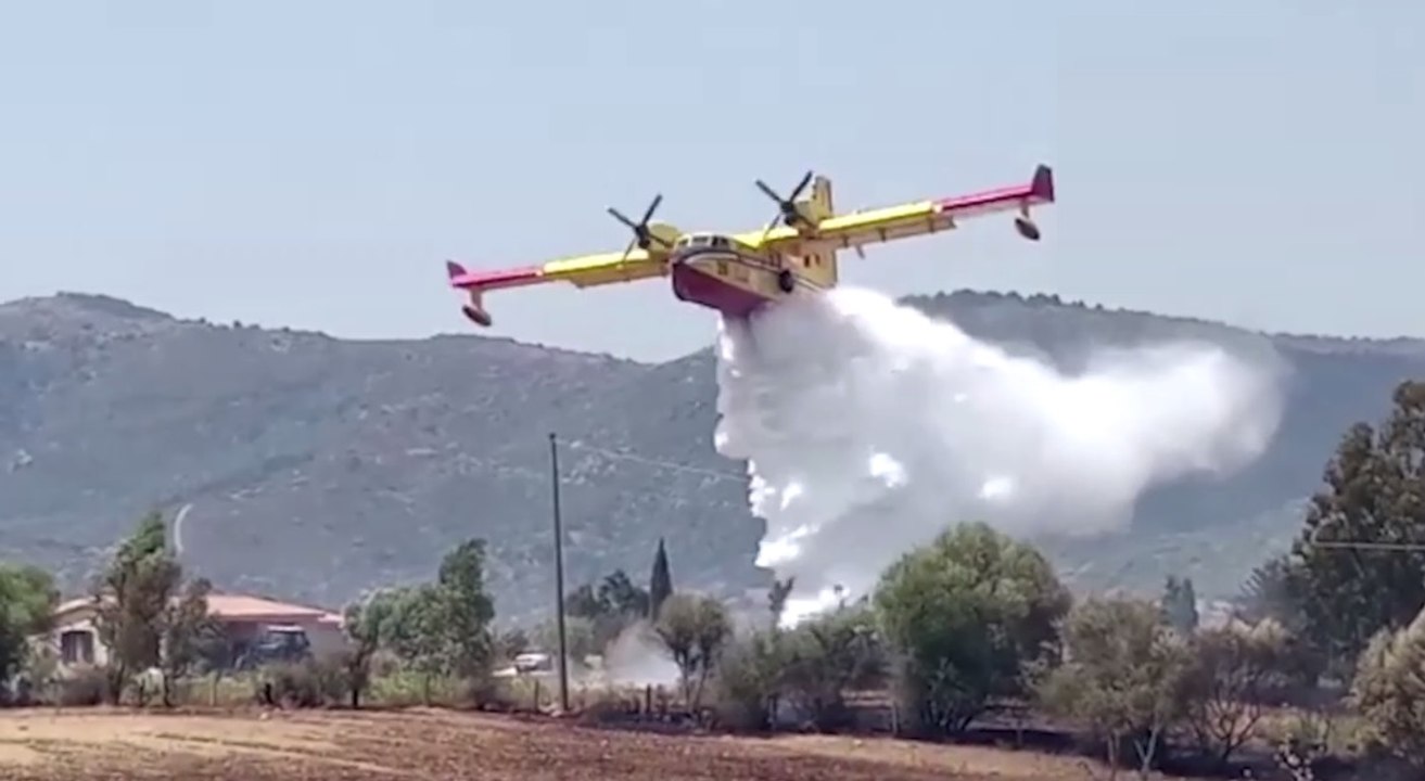 Posada (NU) - Incendio di vegetazione vicino strada statale 13 (14.08.20)