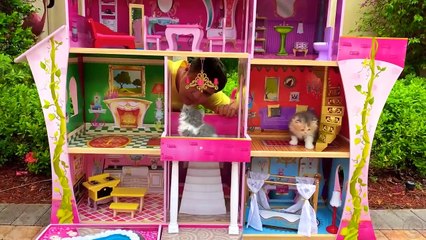 Nastya and the cat - stories about kittens