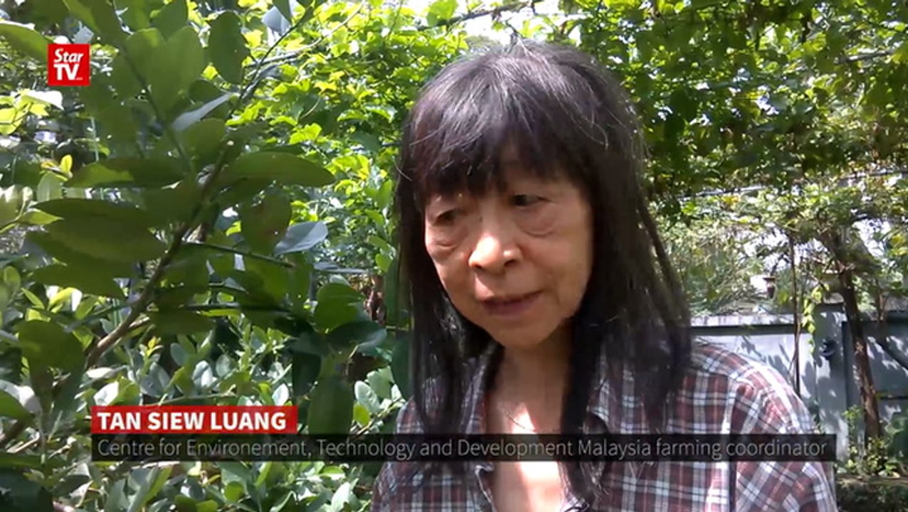 Growing trend in farming