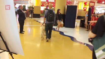 Malaysia's first guide dog may be returned