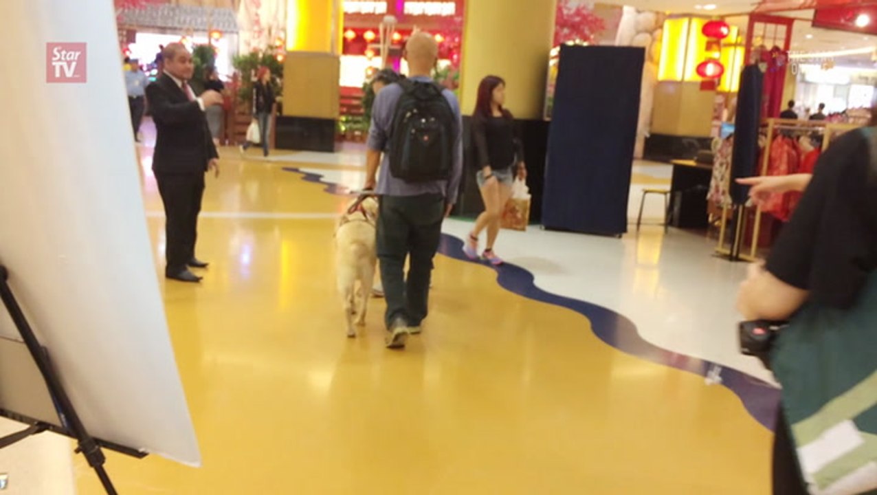 Malaysia's first guide dog may be returned
