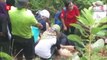 Hiker plummets to his death at Bukit Tabur