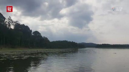 Tasik Chini on the road to recovery