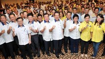 Liow: MCA filed over 30 objections on EC's redelineation