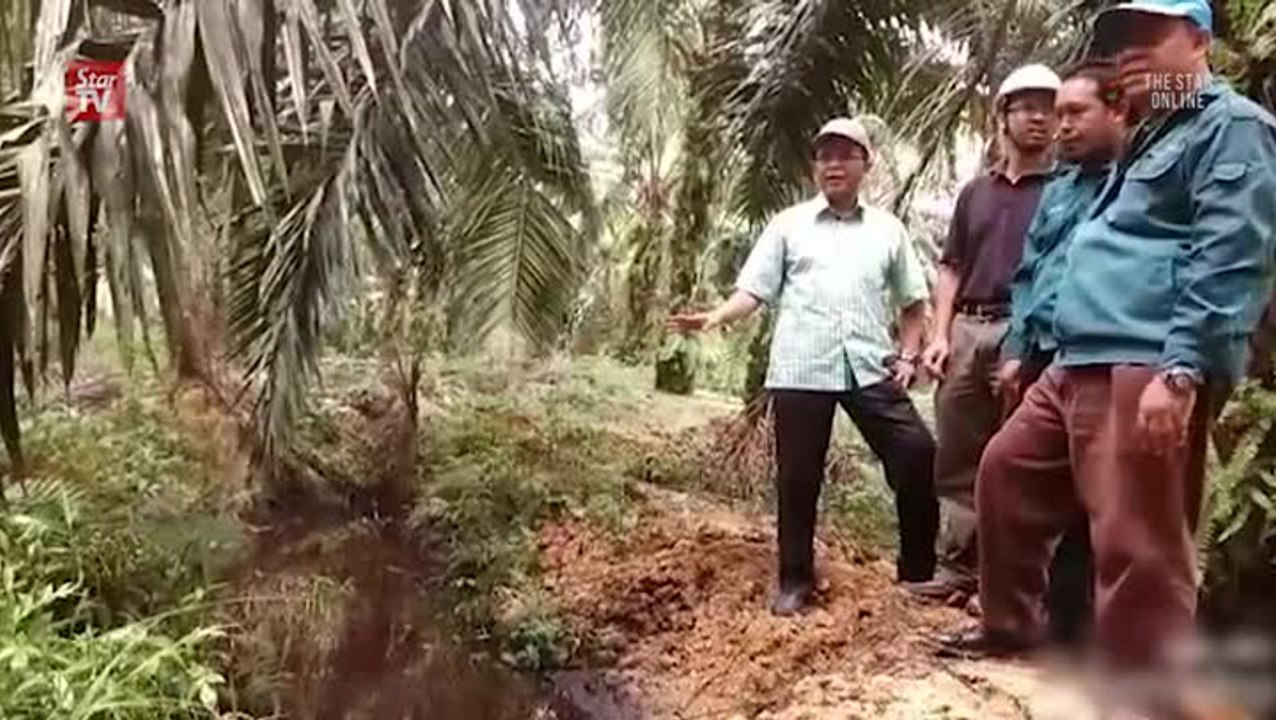 GLC-linked palm oil mill ordered to close over river pollution