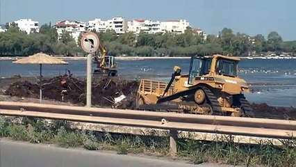 Καθαρισμός παραλιών από σκουπίδια και φερτά υλικά