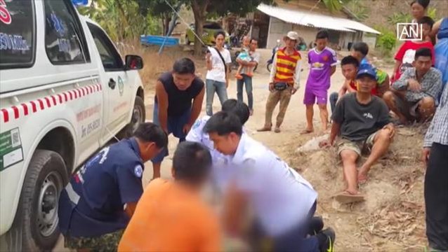 UNHCR officer trampled to death by wild elephants