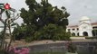 Storm topples century-old Ipoh tree
