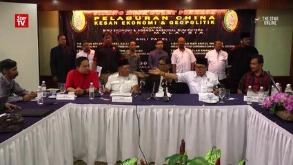 Ibrahim Ali defends Zakir Naik's PR status