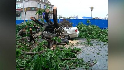 Ribut, Hujan Batu Melanda Guandong
