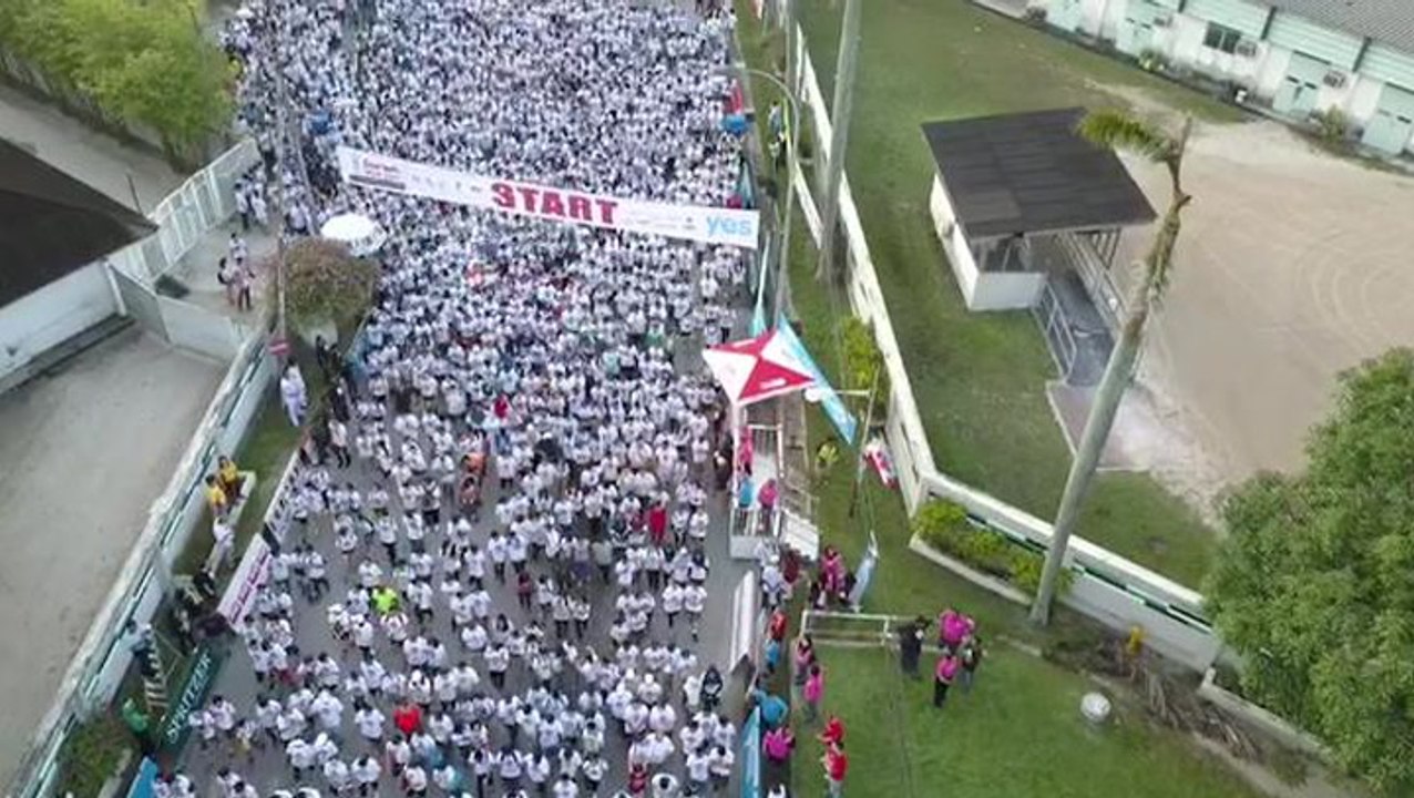 Ipoh Starwalk 2017 a huge success