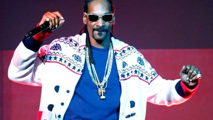 Download Video: Dozens injured after fence collapse at Snoop Dogg concert