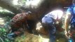Two killed, six injured by fallen tree in Janda Baik trip