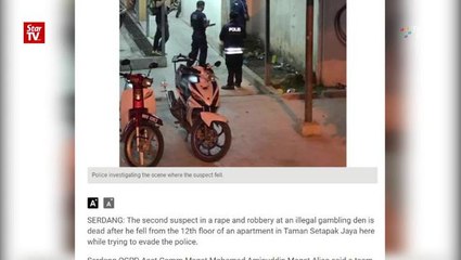 Second rob-and-rape suspect dies trying to evade cops