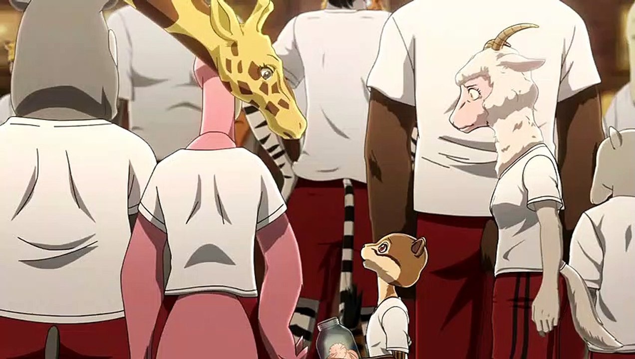 Beastars List Miłosny (Dubbing PL)