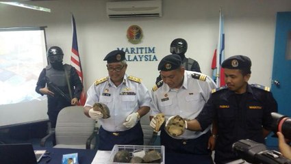 MMEA seizes 1,400 tortoises headed for the pot