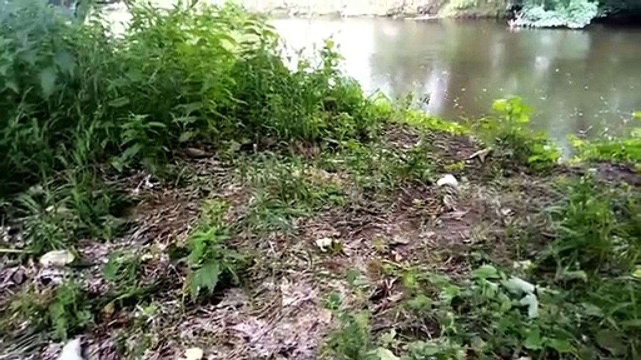 Human Waste In River Wharfe