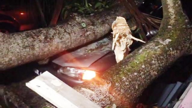 Storm wreaks havoc in Penang