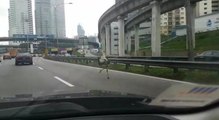 Ostrich sprints down Federal Highway