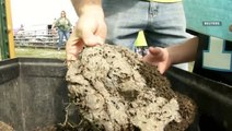 Wacky festival has people throwing cow dung