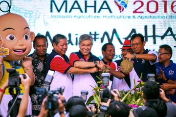 Govt sets target for self-sufficiency in tandem with TN50