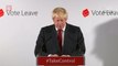 Pro-Brexit politician Boris Johnson says 'no need for haste' following Britain's vote to leave EU