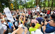 Protesters mount pressure on City Hall to stop project in Rimba Kiara Park