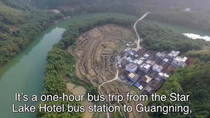 Drone & Phone: Bamboo forest in Guangdong province