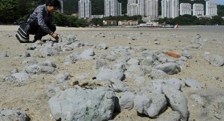Clay mars Tanjung Bungah beach